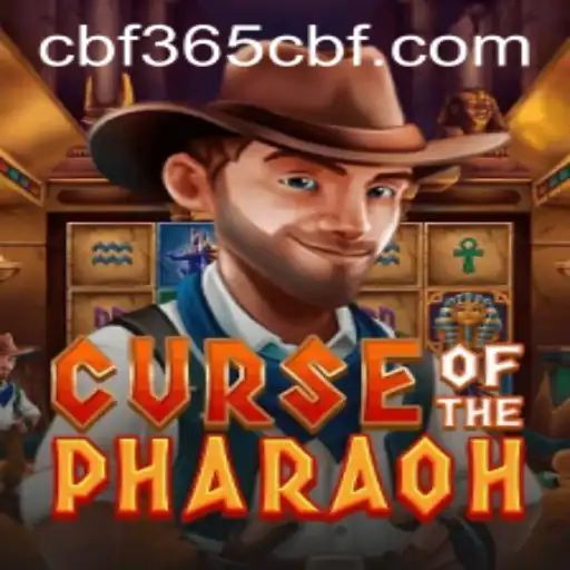 CBF365 Casino App